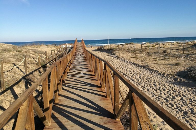 Beaches in the surroundings - foto č. 37