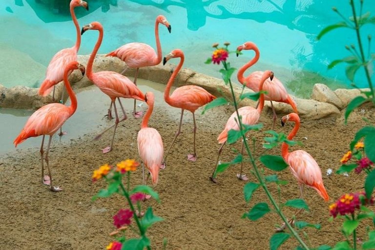 ZOO Mundomar - foto č. 3